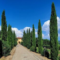 ©Agriturismo Luggiano